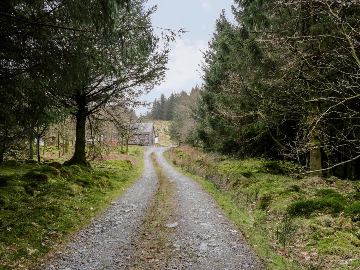 Brithgwm Canol Dolgellau Bagian luar foto